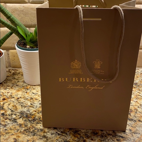 burberry paper shopping bag